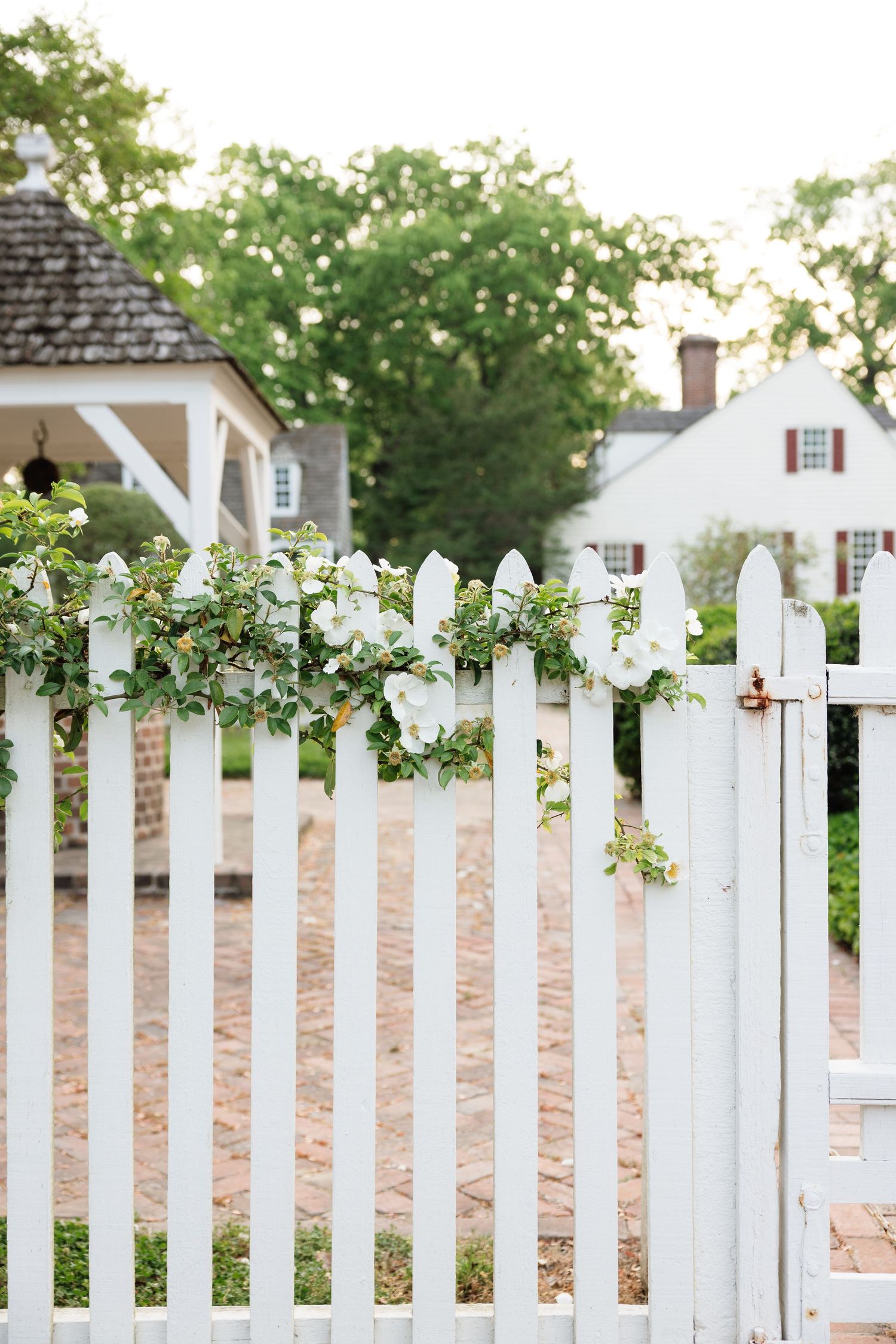 Olivia Barham Photography | Virginia & North Carolina Wedding and Lifestyle Photographer