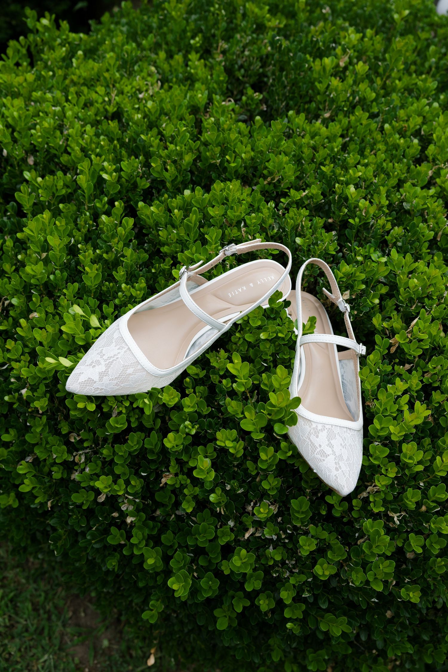 White lace bridal slingback flats with pointed toe resting on lush green boxwood hedge for wedding day in Virginia.