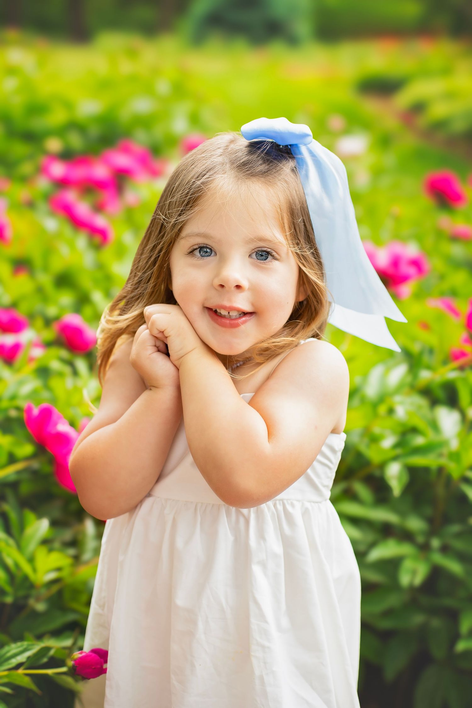 Adorable little girl with blue bow in white dress smiling with hands clasped near vibrant pink peony garden.