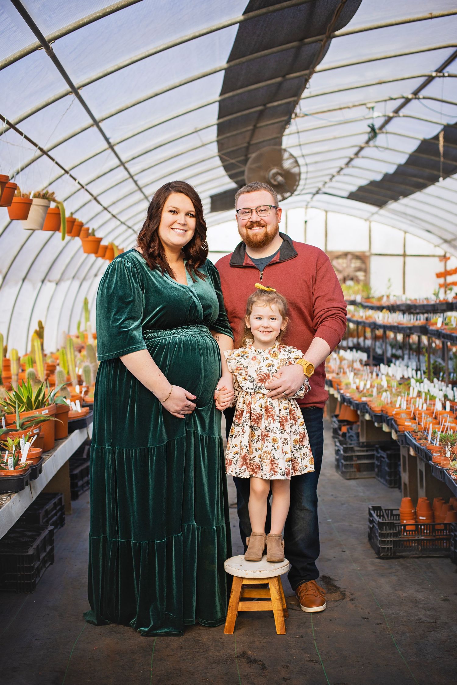 Pregnant mother in green velvet dress and father hold toddler girl standing on stool in greenhouse nursery.