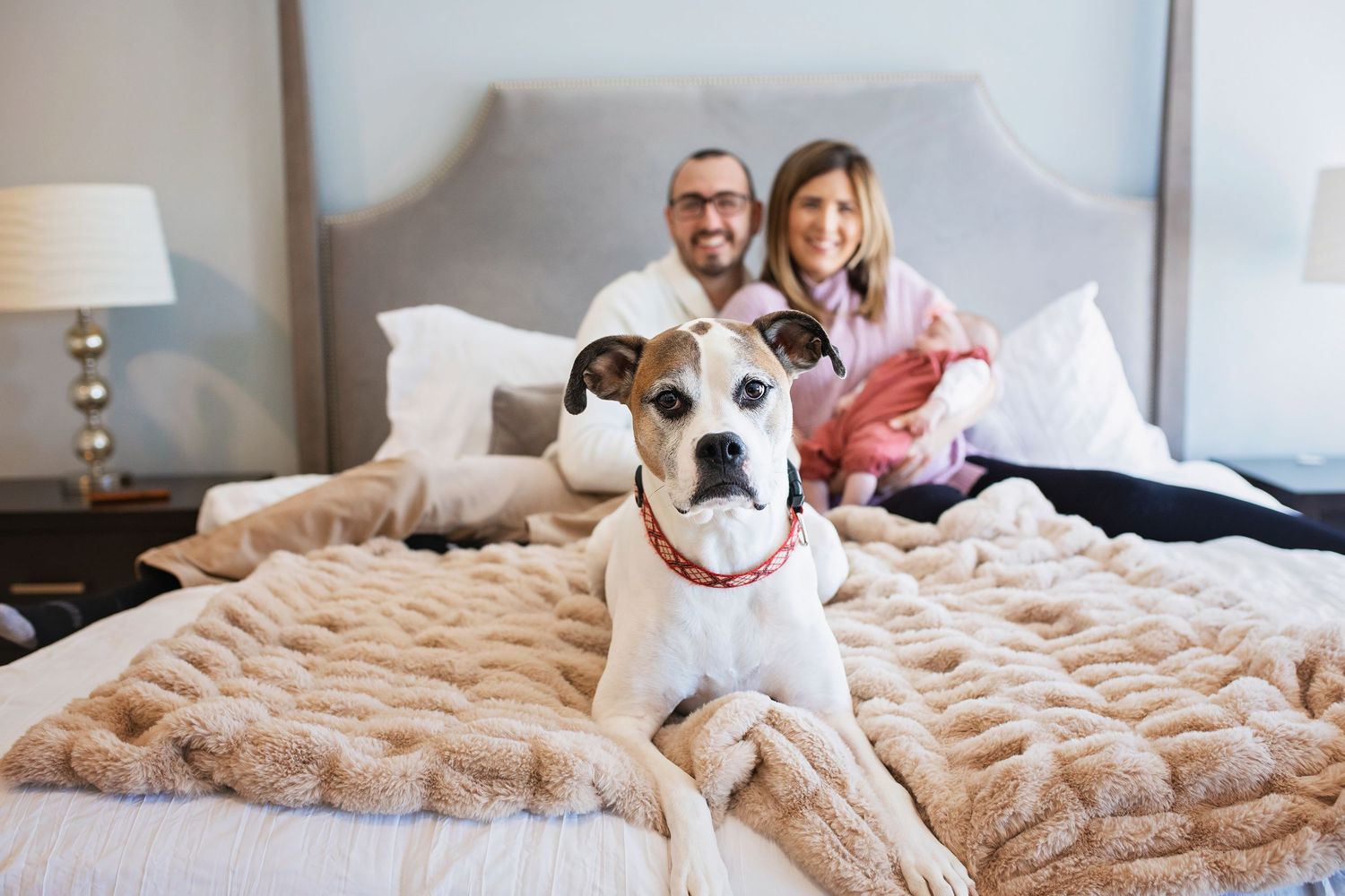 Couple relaxing on bed with their brown and white boxer dog sitting in the foreground.