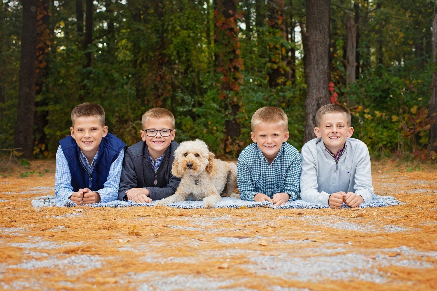 Four boys lying on a blanket with a fluffy dog in a pine forest.