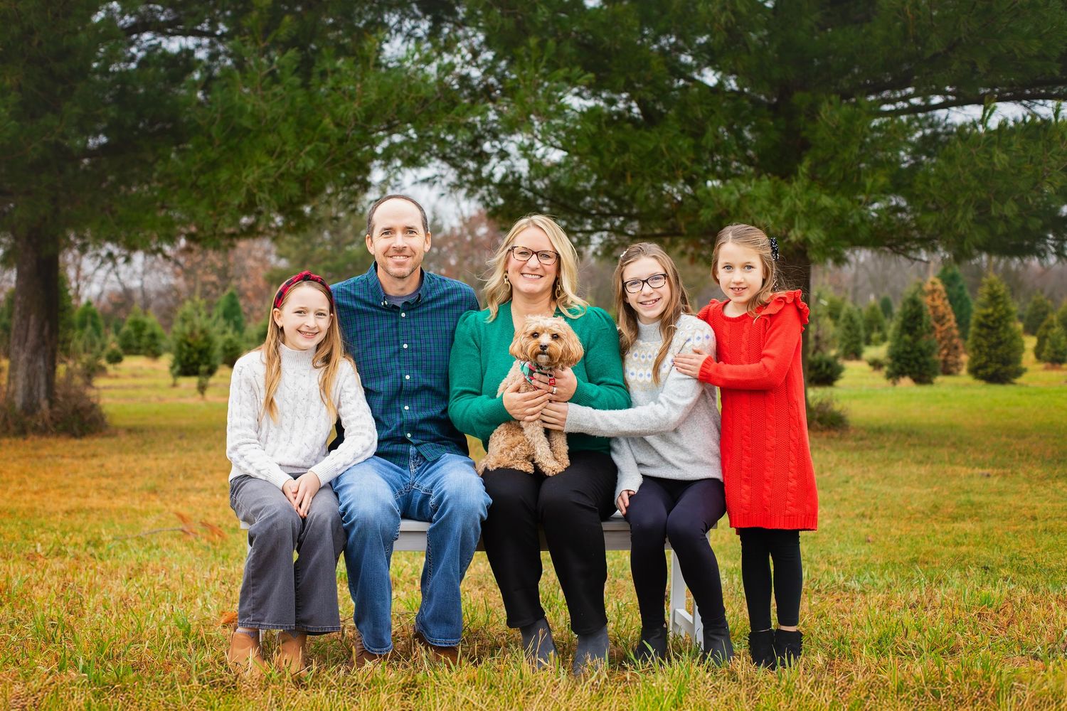 Family of five with small dog posing on bench at a Christmas tree farm.