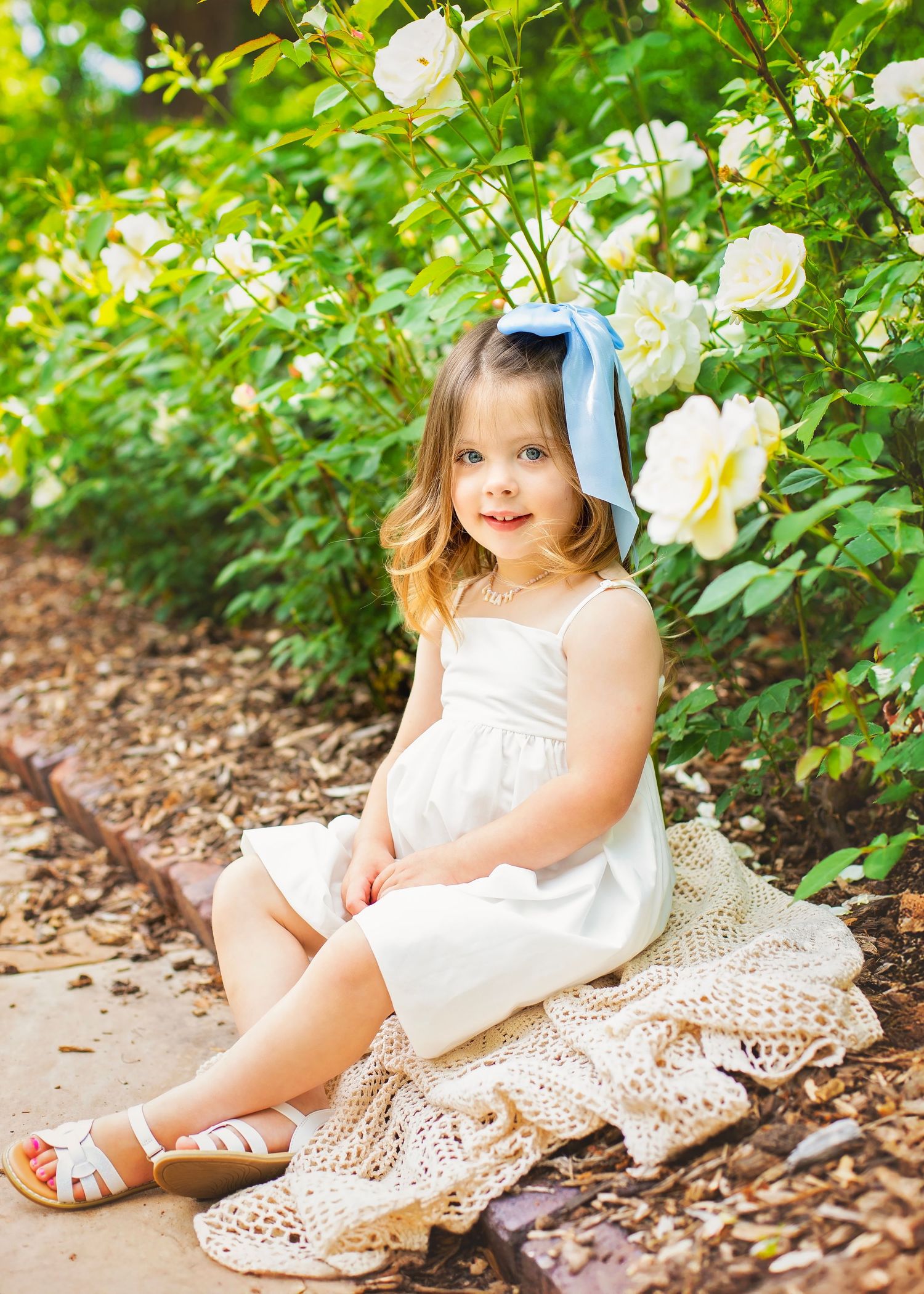 Cute little girl with blue bow in white dress sitting on lace blanket among blooming white roses outdoors.