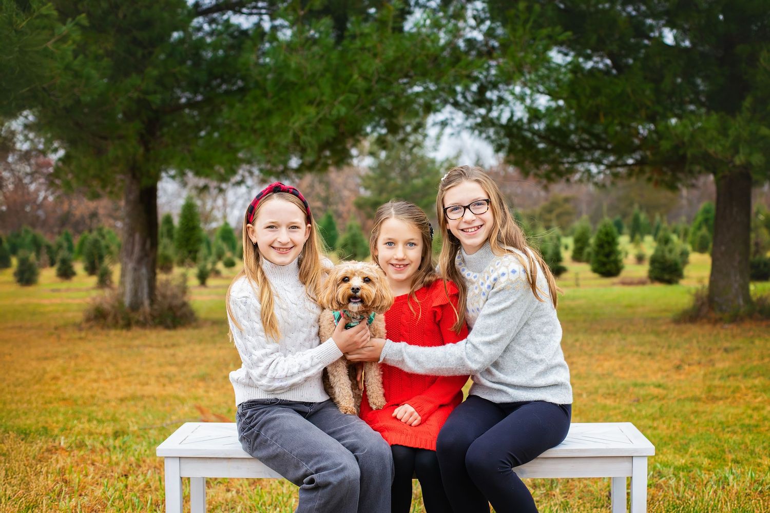 Three sisters sitting on white bench holding a golden dog at a tree farm.