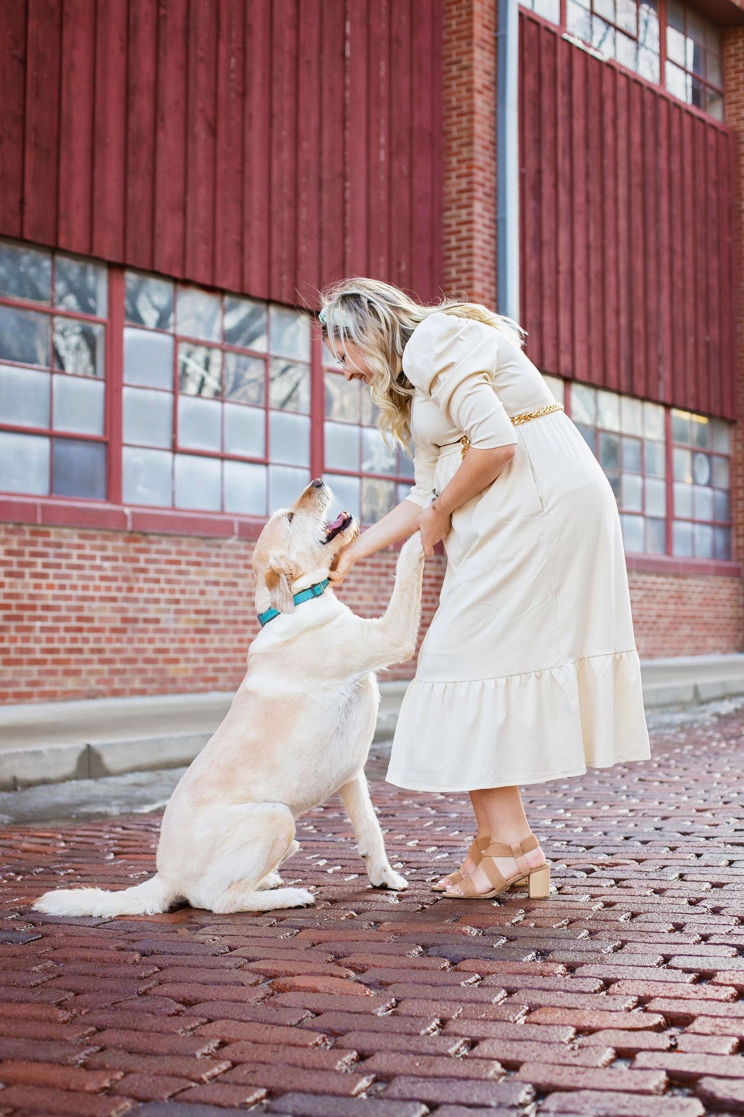 Pregnant woman in white dress interacting with a yellow Labrador on brick pathway.