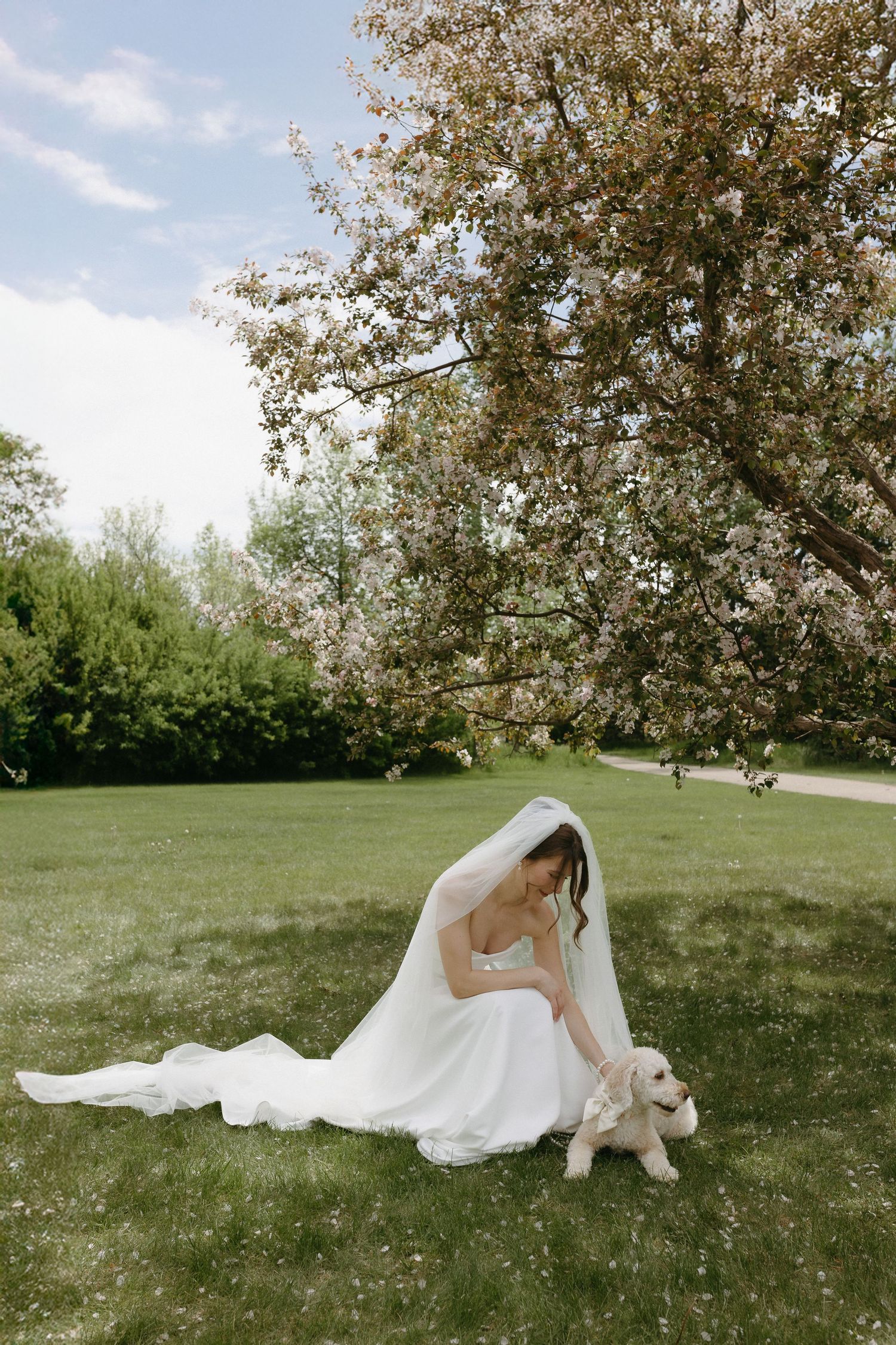 Bride in white dress laying in flowering spring grass during outdoor photo session.
