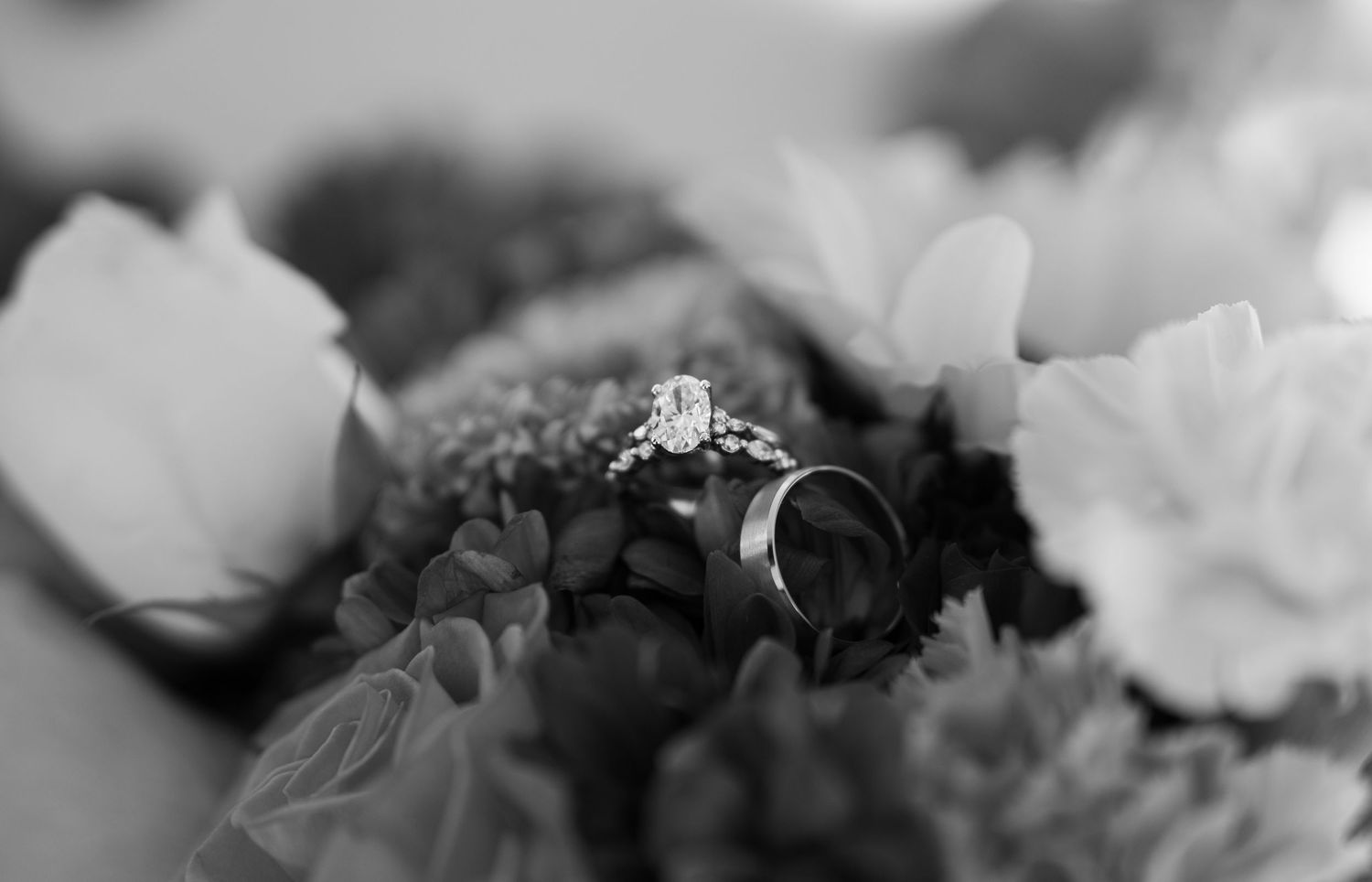 Monochromatic floral arrangement with soft focus creating dreamy botanical texture.