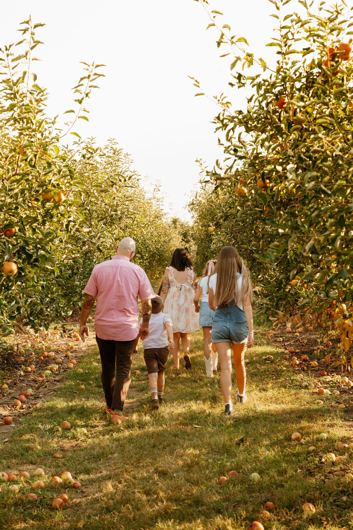 Family walking through an apple orchard on a sunny day, surrounded by trees full of ripe red apples.