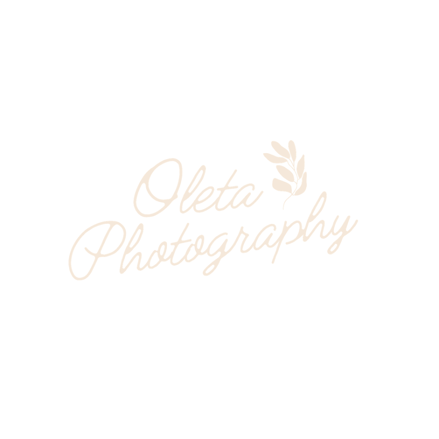 Oleta Photography logo in elegant script font with delicate botanical leaf accent on white background.