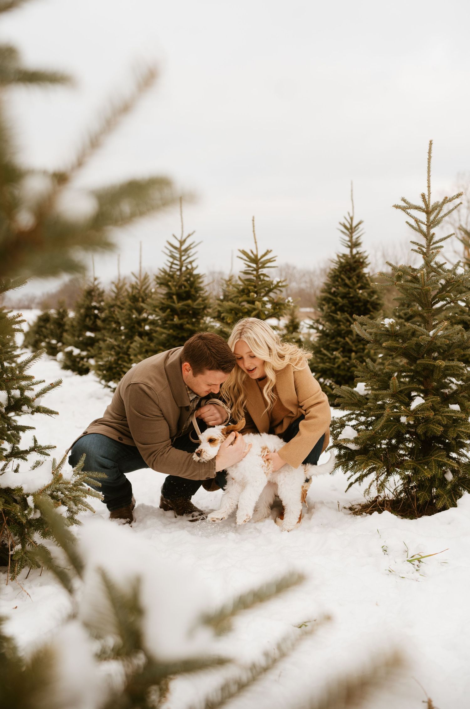 Couple crouching in snowy Christmas tree farm with small dog, wearing warm winter coats outdoors.