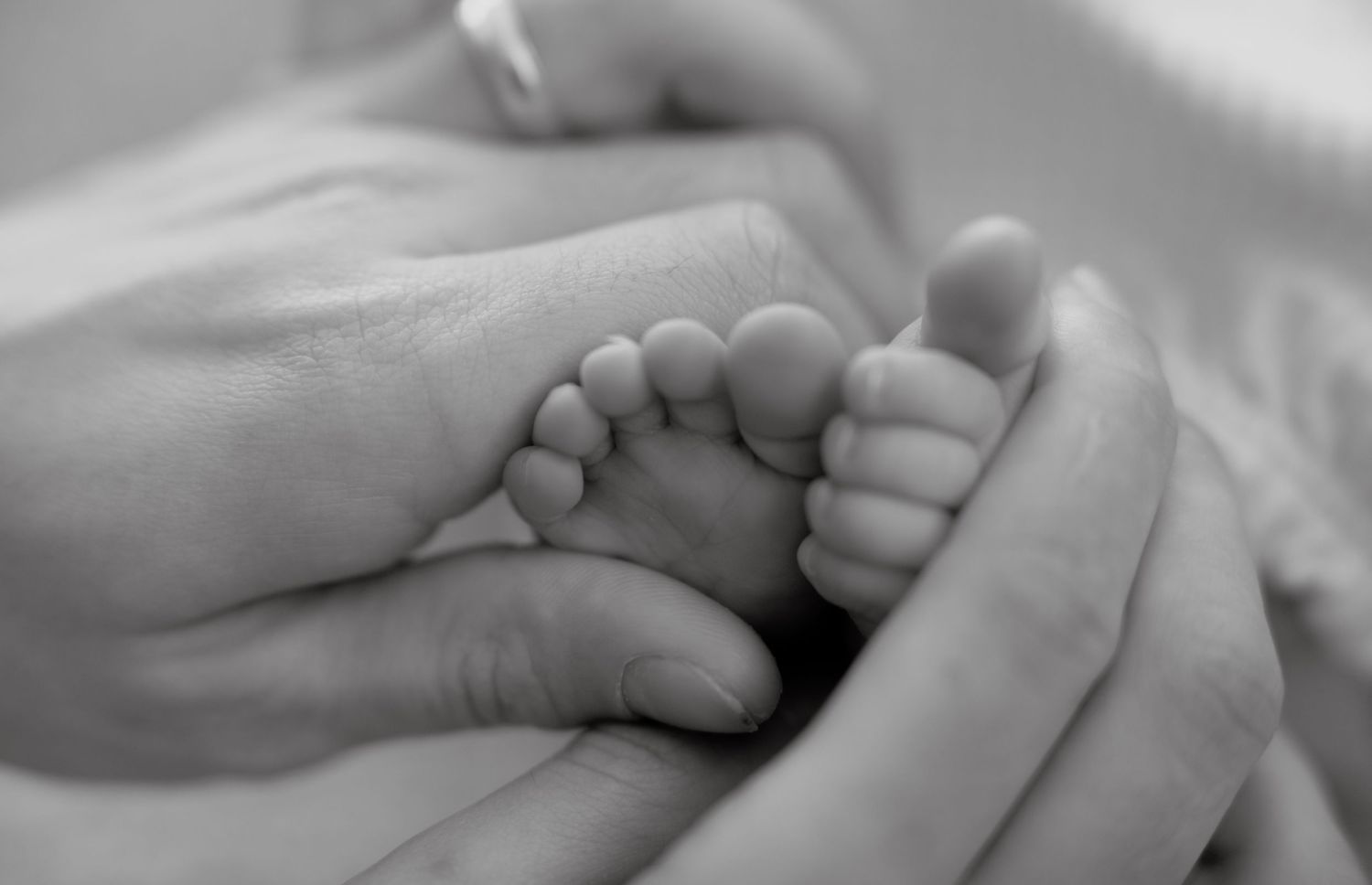 Black and white close-up of adult hands gently cradling tiny newborn baby feet from a newborn session in Novi, Michigan.