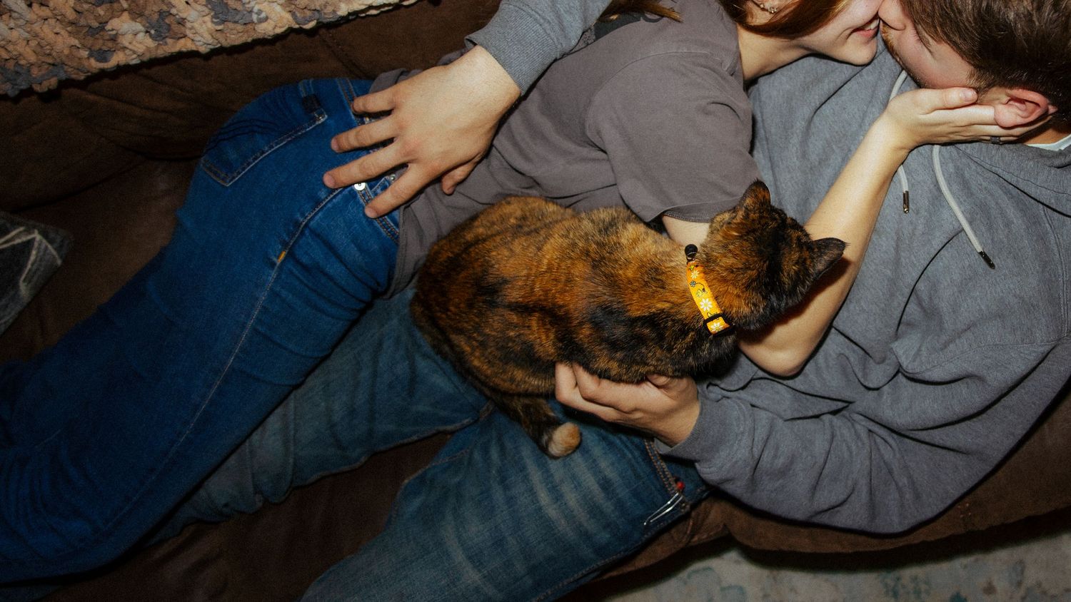 Two people cuddling a tortoiseshell cat on a couch, gently petting the small feline together.