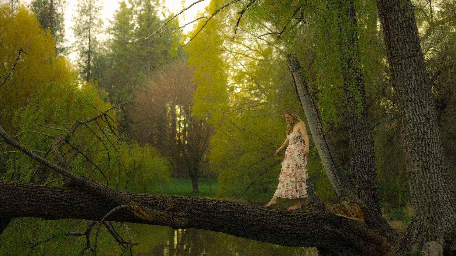 A woman in a white dress stands gracefully on a fallen tree in a lush green forest.