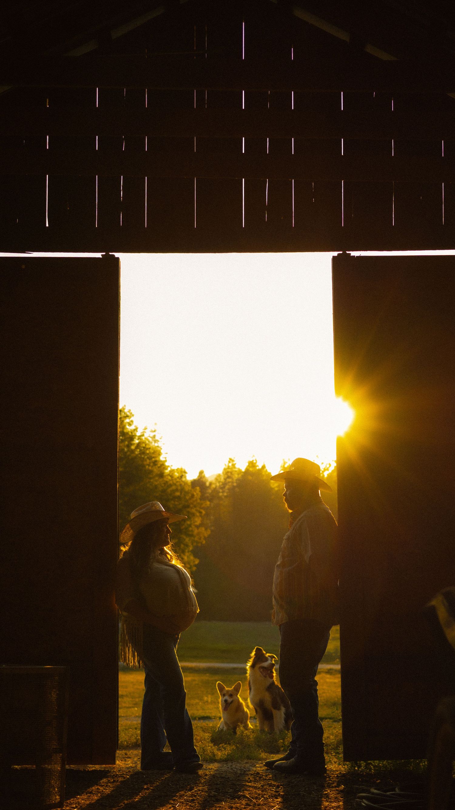 Silhouette of couple and dog in barn doorway at golden sunset, backlit by warm glowing light.