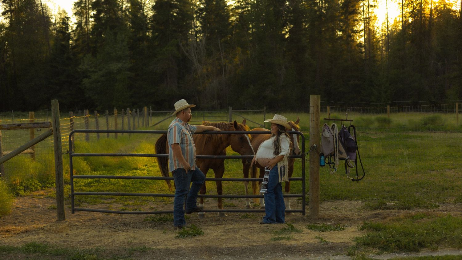 Two cowboys stand by a metal fence with brown horses at golden hour on a rural ranch surrounded by pine trees.