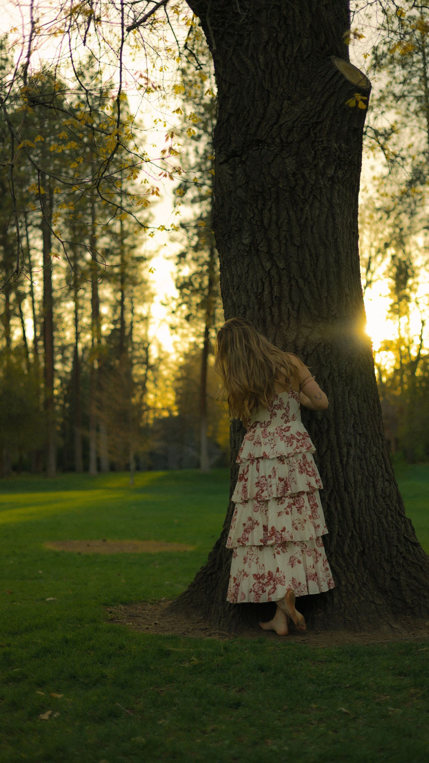 A young girl in a floral ruffled dress leans against a large tree trunk in a park at golden sunset.