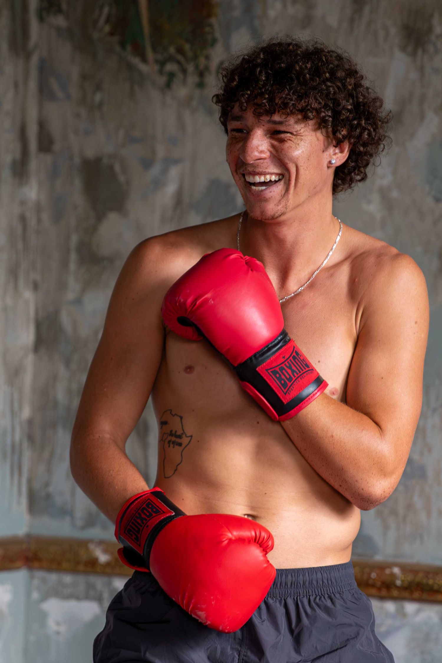 Boxer Portrait