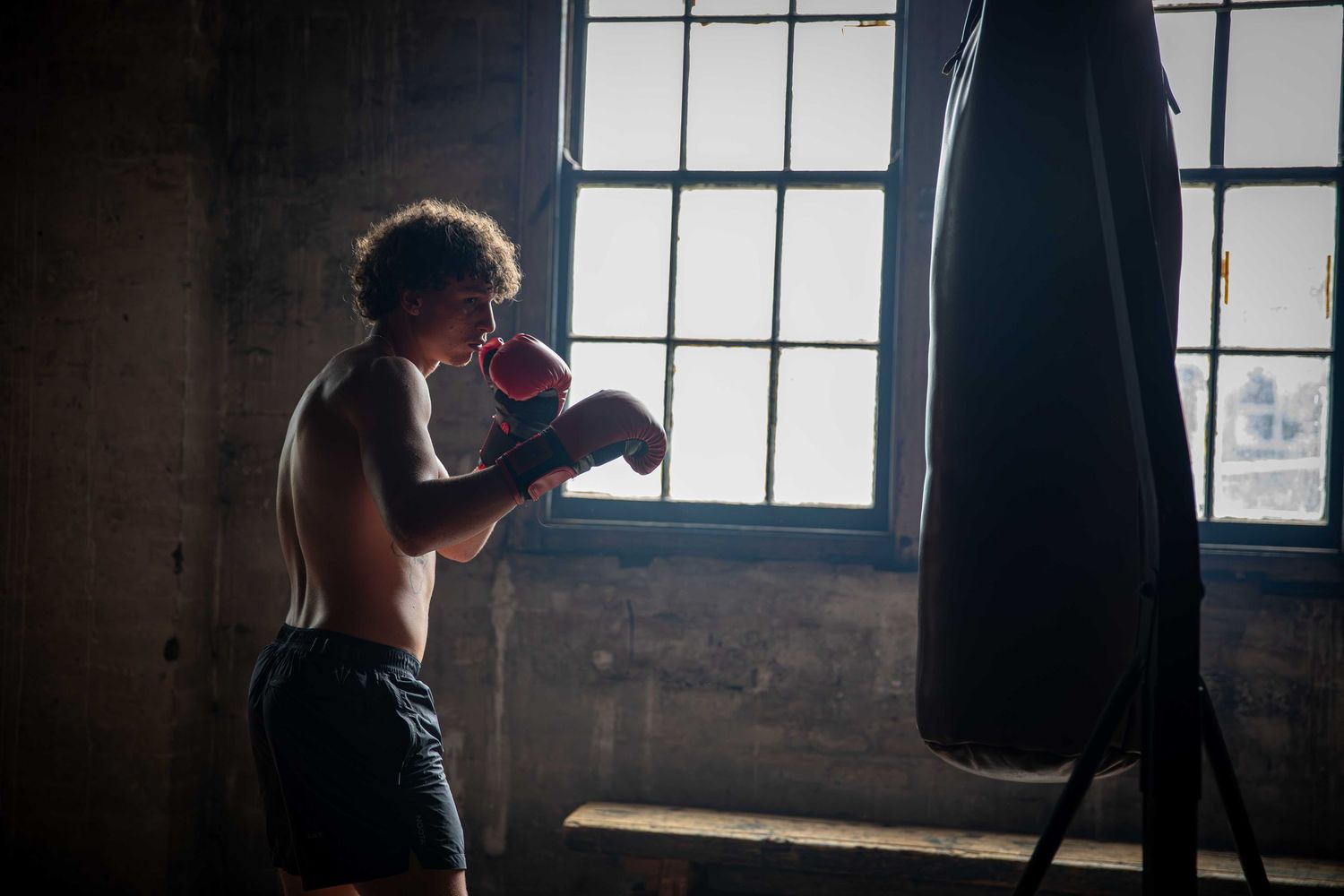 Boxer Portrait