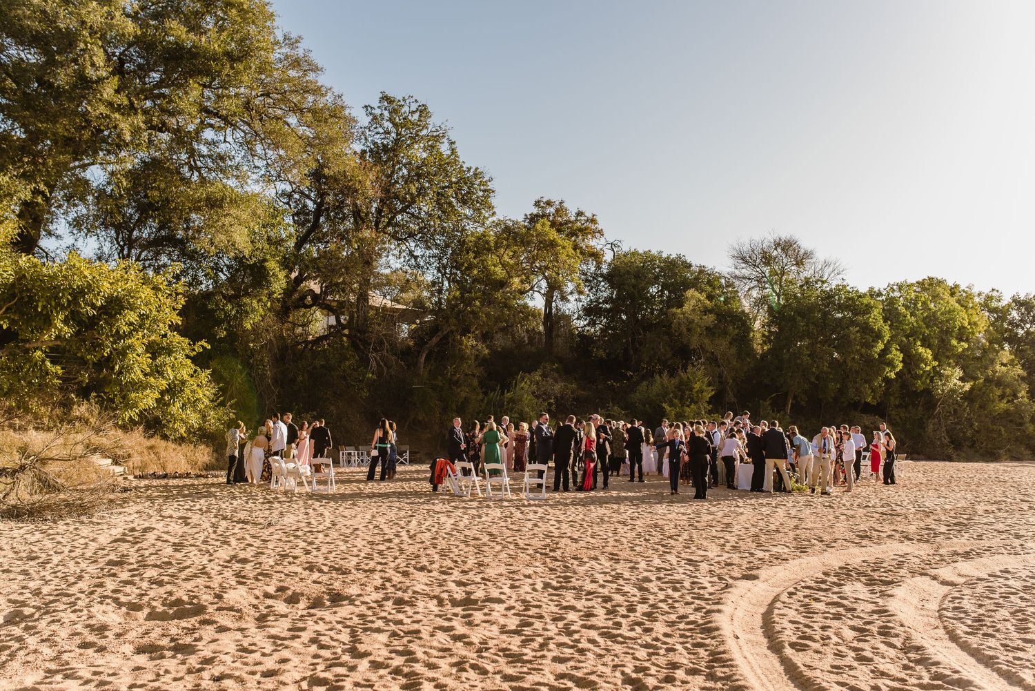 Panoramic view of a sandy beach wedding venue with scattered trees and natural lighting.