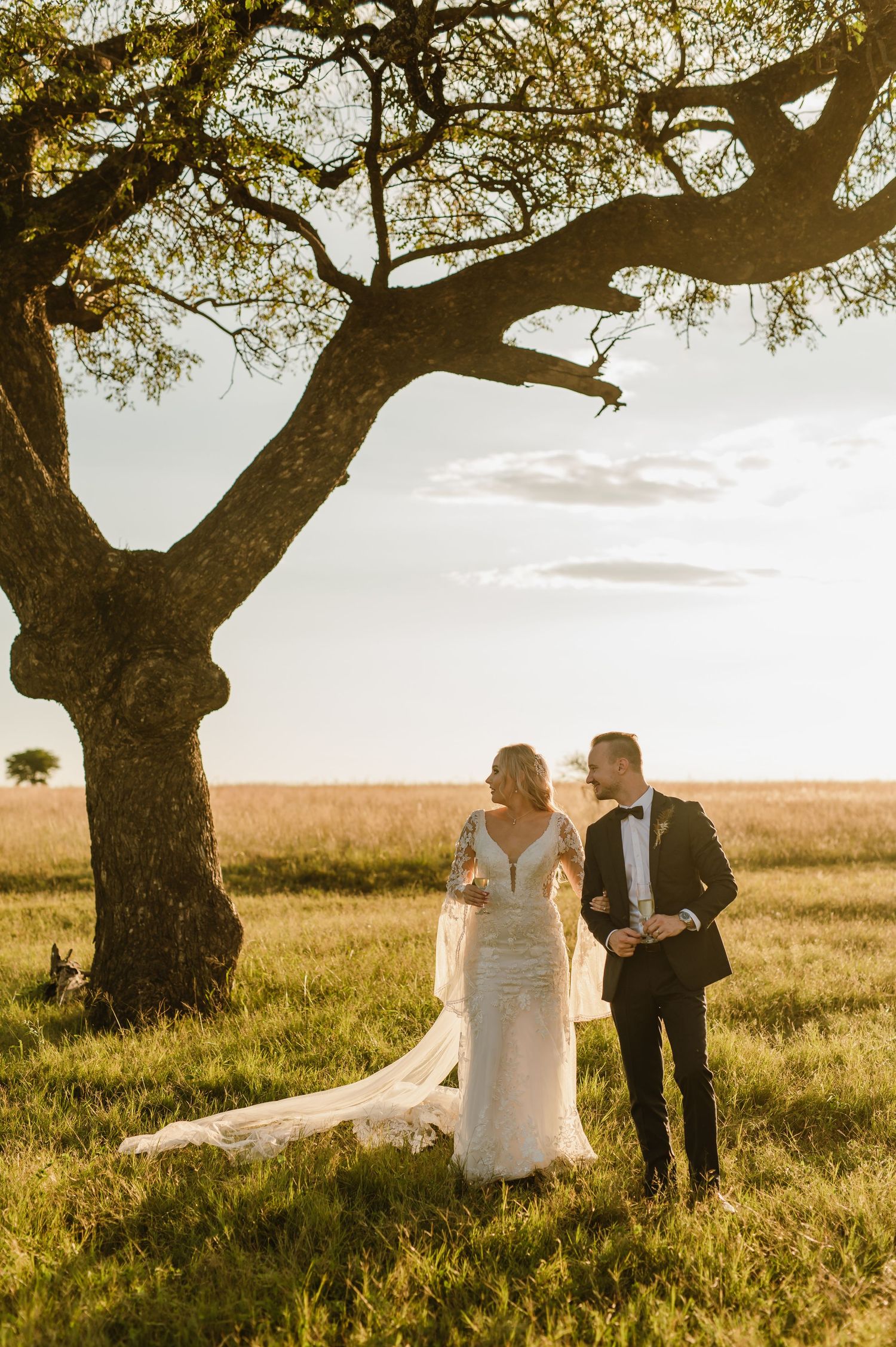 A couple poses beneath a majestic tree during their golden hour wedding photography session.