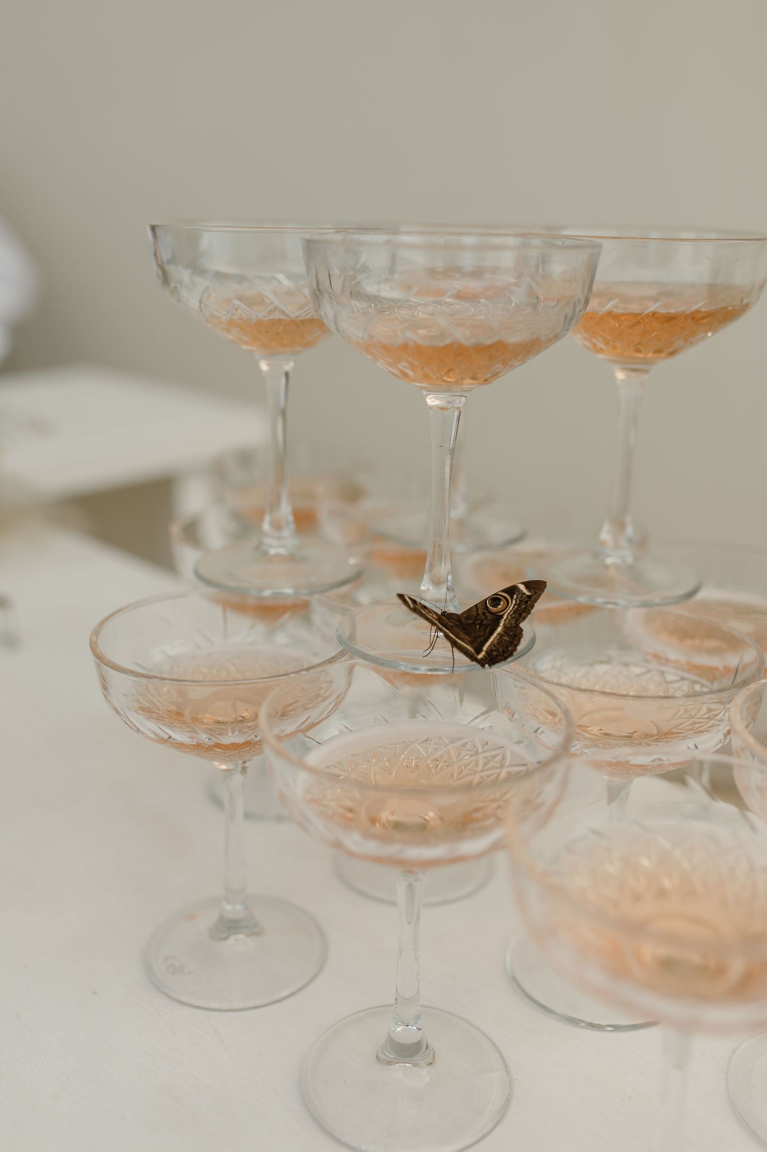 Close-up details of vintage-style coupe champagne glasses arranged in elegant display.