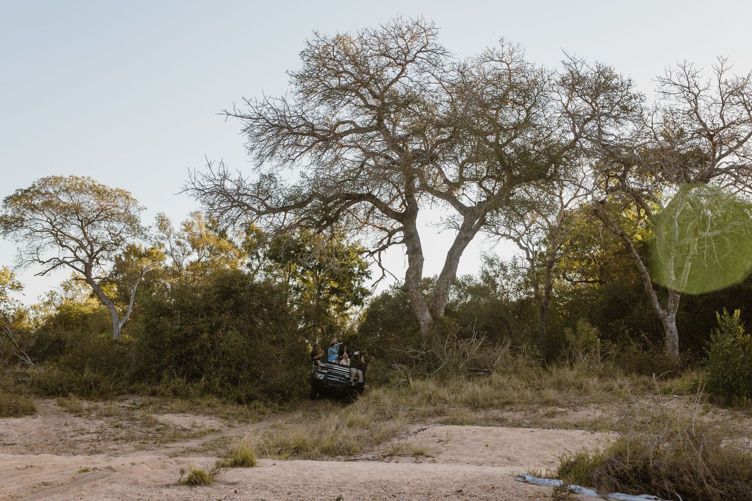 Thornybush Game Lodge, Kruger National Park Wedding by Safari Wedding Photographer Wildflower Photography