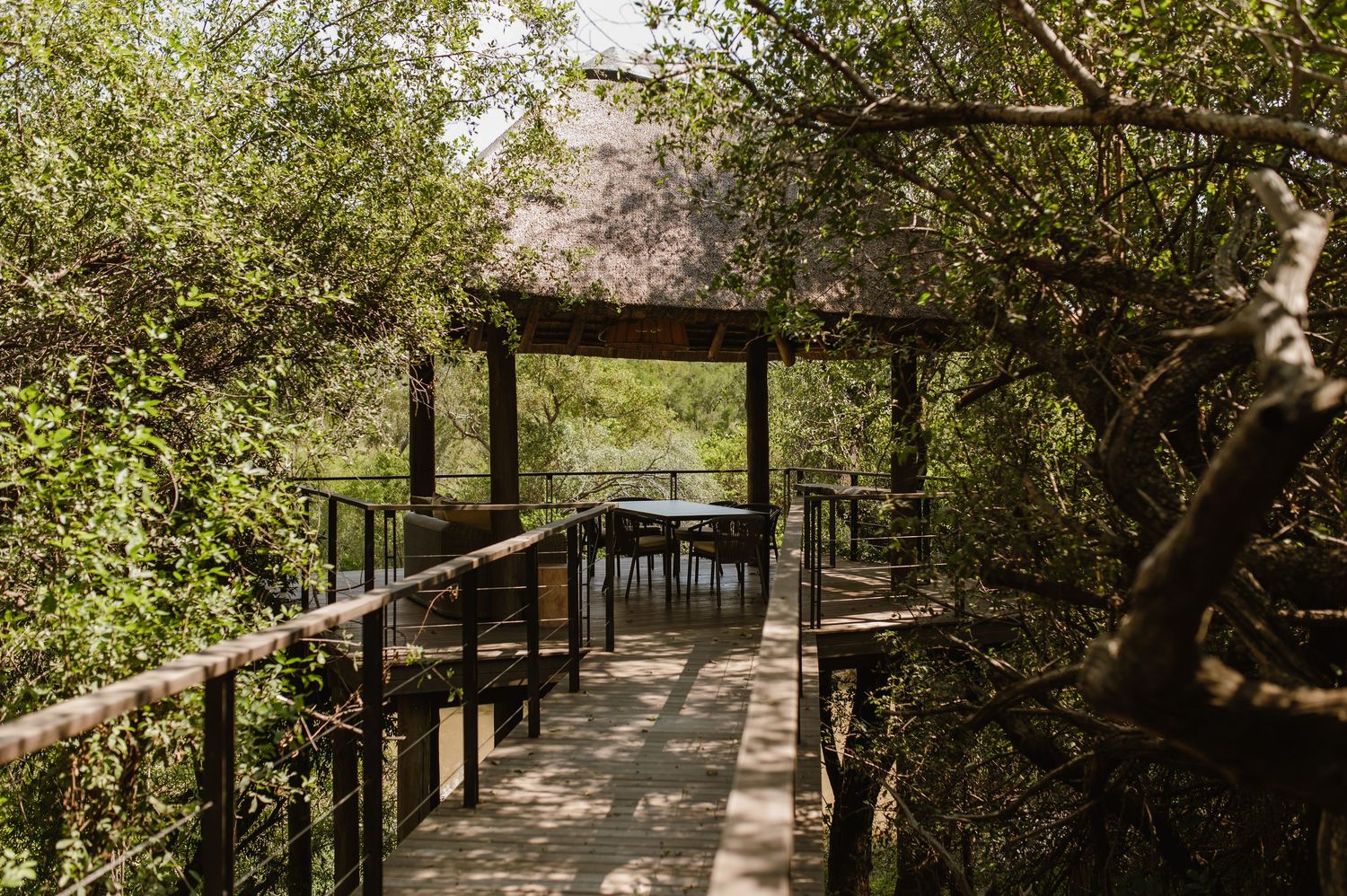 Wooden boardwalk leading to a thatched roof gazebo surrounded by lush green trees in a safari lodge.