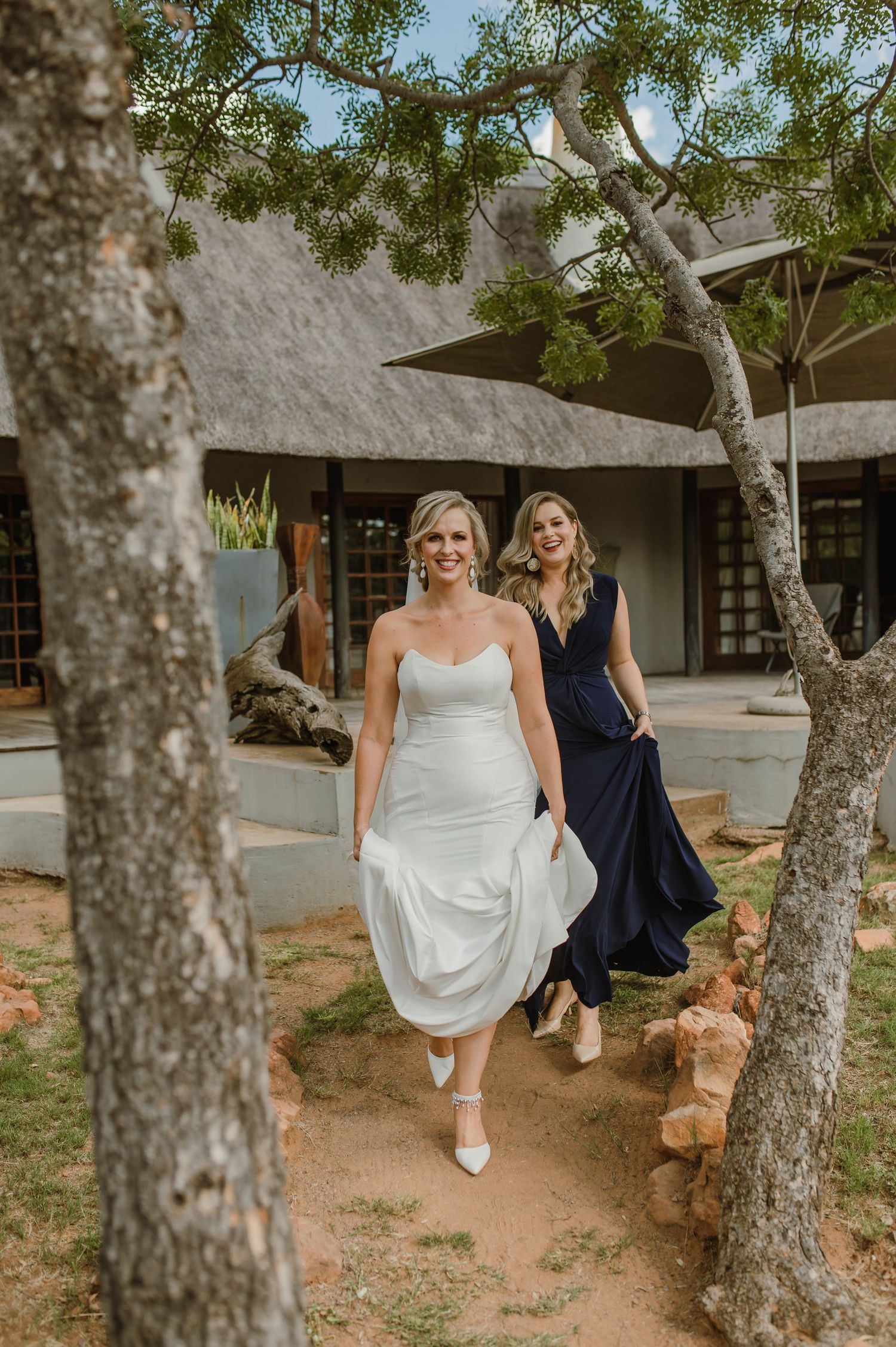 Wedding party walking under birch trees on sandy path near rustic buildings.