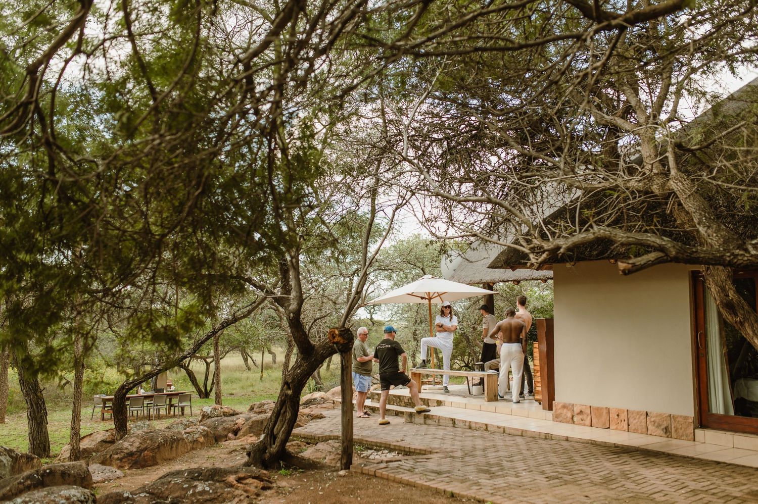 Winding pathway through safari lodge grounds with native trees and landscaping.