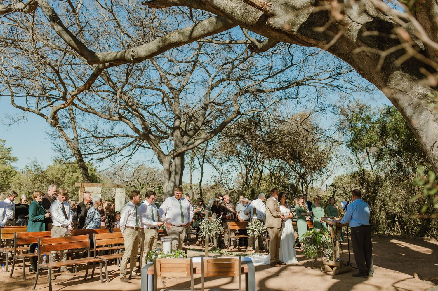Panoramic view of an outdoor wedding ceremony with guests seated under large desert trees.