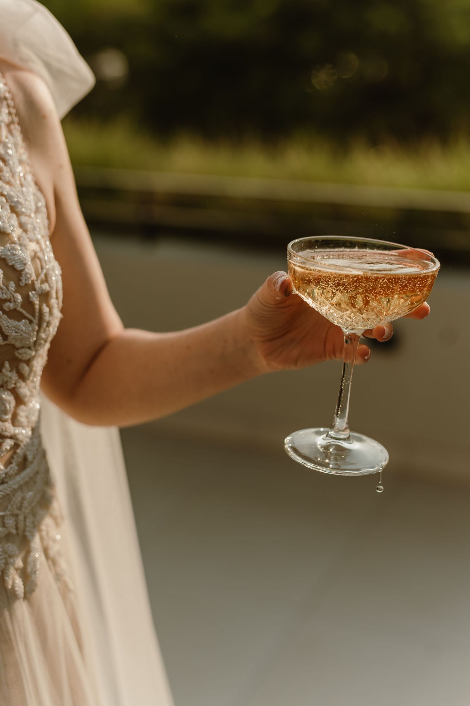A hand in a lace sleeve holds a champagne coupe glass against a blurred outdoor background.