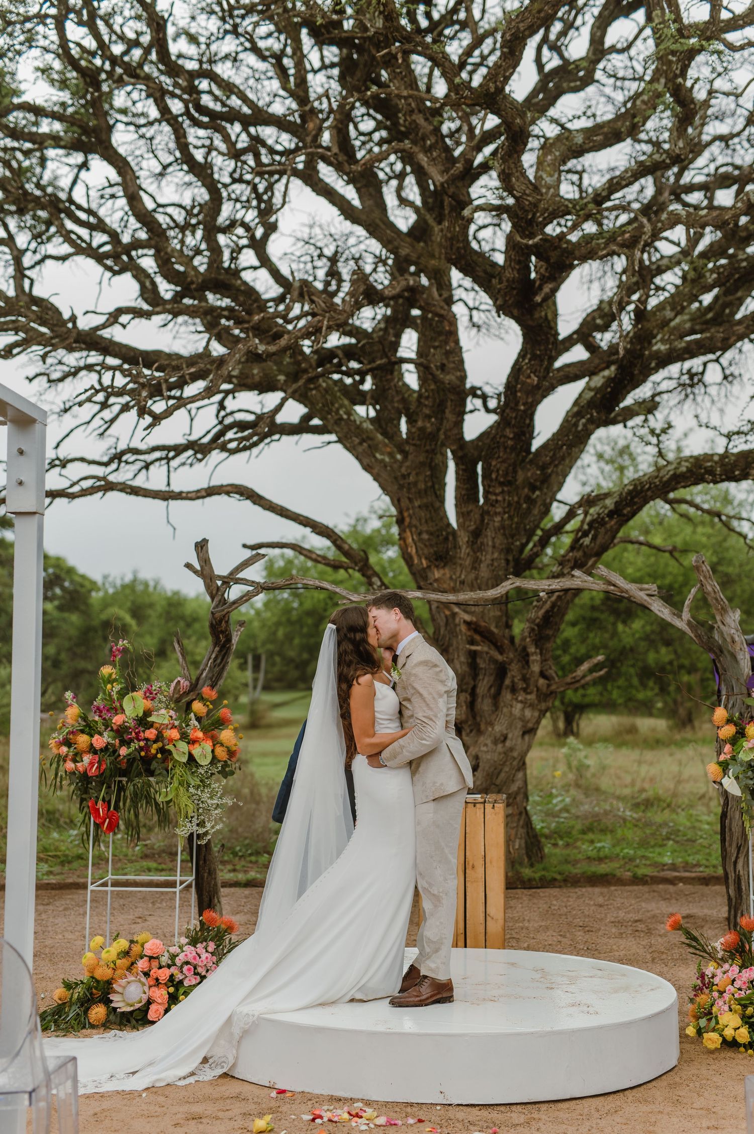 An outdoor wedding ceremony setup features a white circular platform beneath a sprawling ancient tree.
