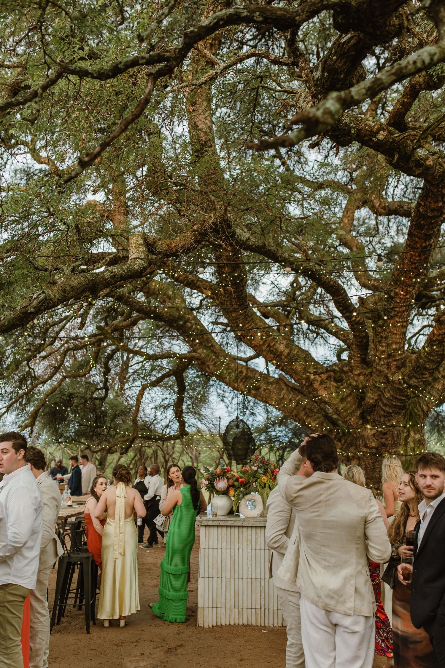 Wedding guests gathered under a large tree during an outdoor celebration.