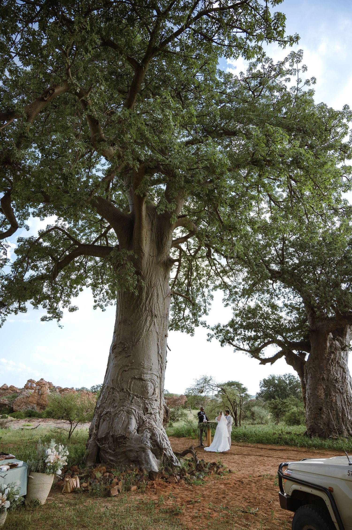 Mashatu game reserve, Tuli Safari Lodge, Botswana safari wedding by Safari wedding photographer wildflower photography