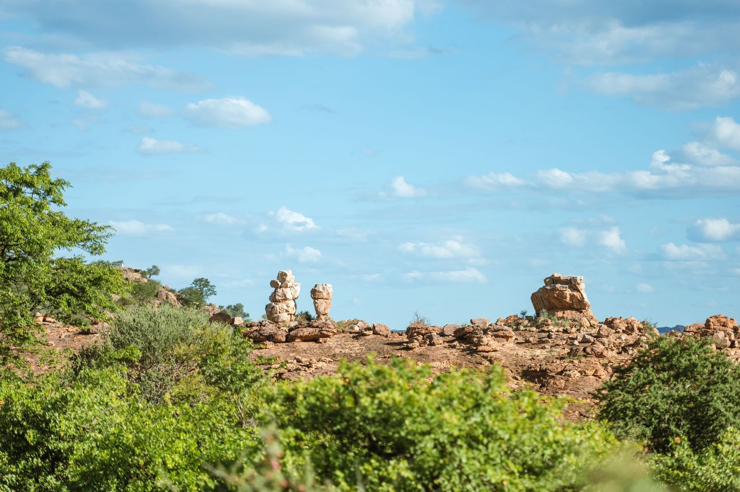 chirs & sam Mashatu game reserve, Botswana wedding by Safari wedding photographer wildflower photography