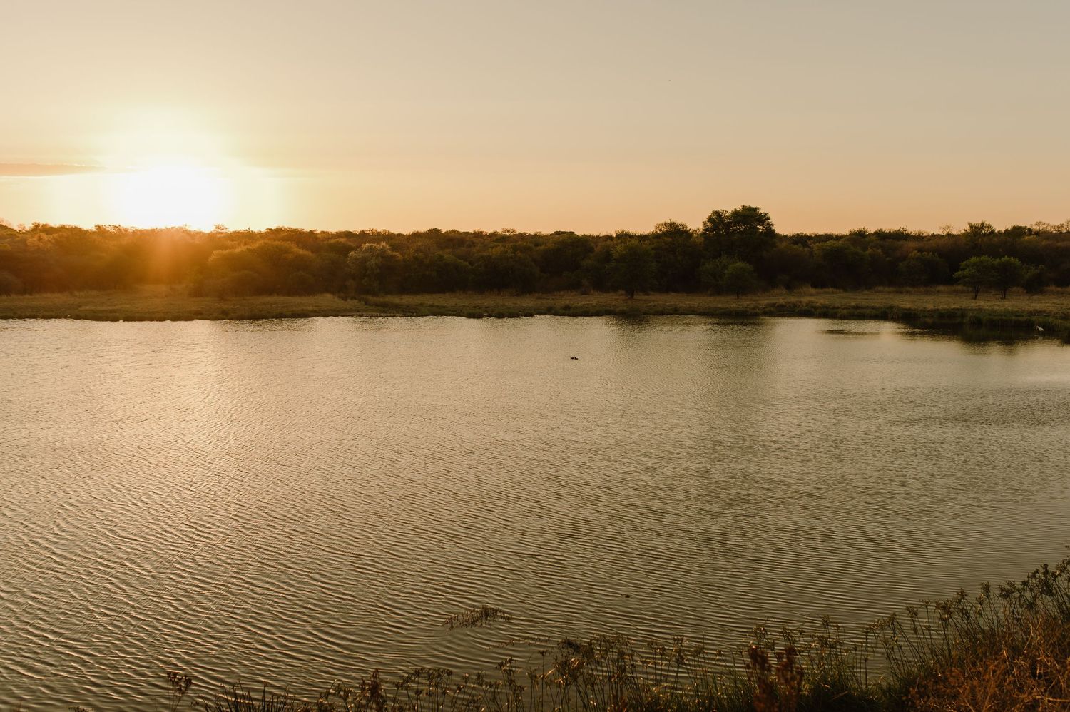 Panoramic view of a lake landscape at sunset with golden reflections on the water.