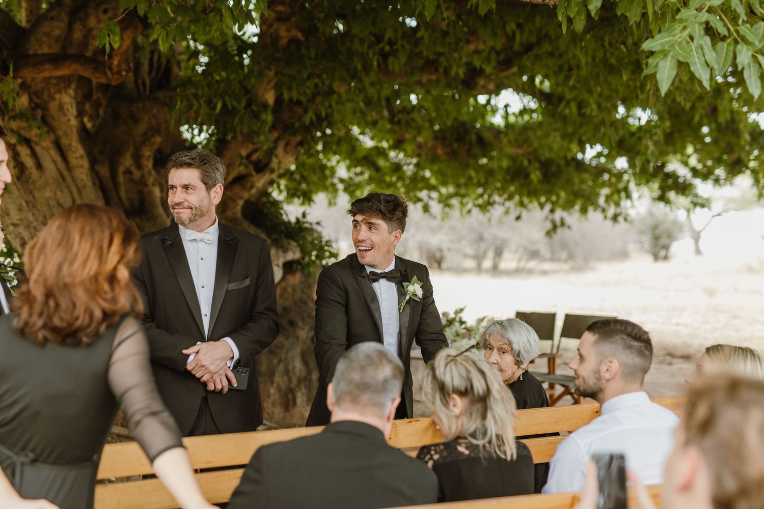 Wedding ceremony seating arranged under lush green trees with wooden benches.
