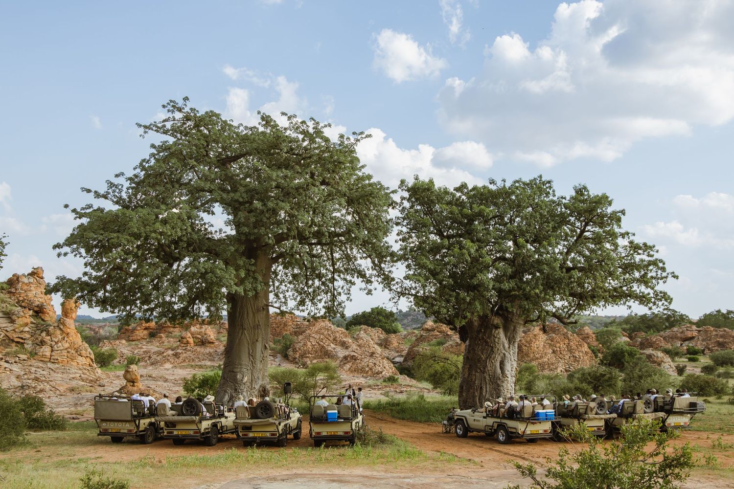 Mashatu game reserve, Tuli Safari Lodge, Botswana safari wedding by Safari wedding photographer wildflower photography