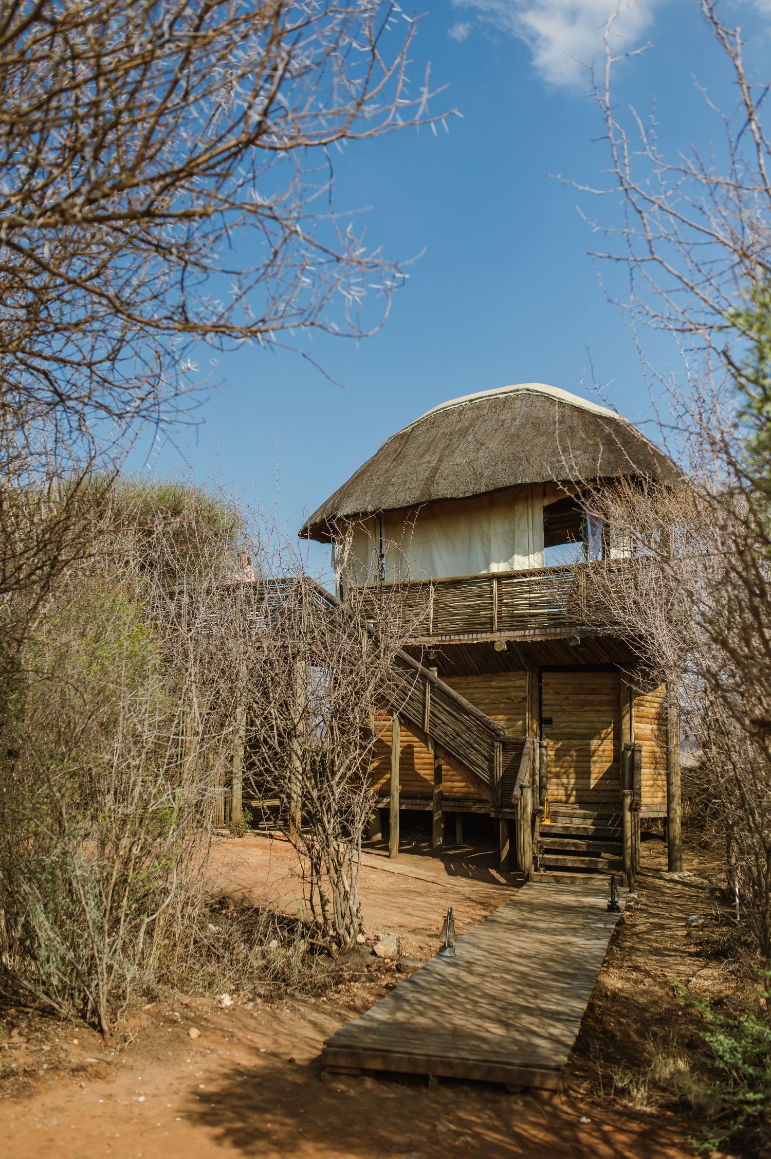 Vow renewal - Morukuru Family - Madikwe Reserve by Safari Wedding Photographer - Wildflower Photography