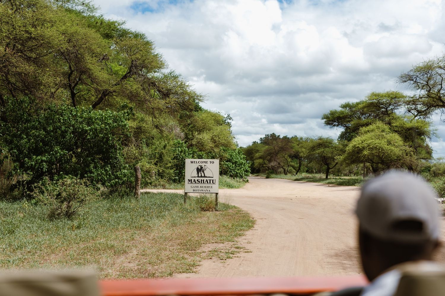 chirs & sam mashatu game reserve, botswana wedding by wildflower photography