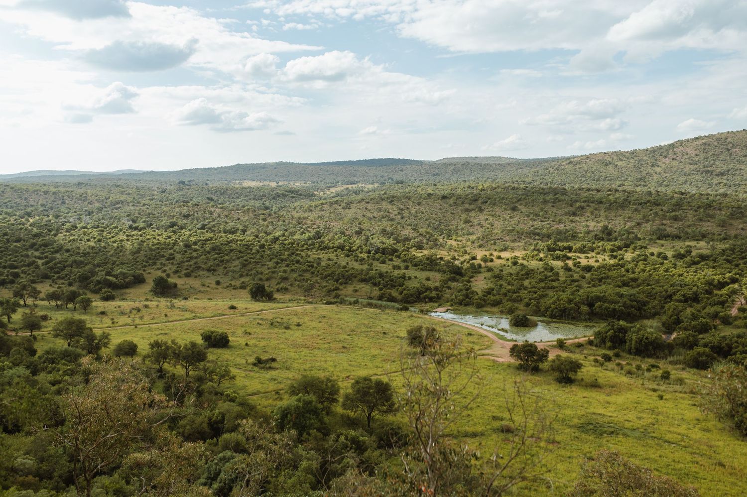 KIRSTY & GRAEME KUTHABA BUSH LODGE  SAFARI WEDDING BY WILDFLOWER PHOTOGRAPHY