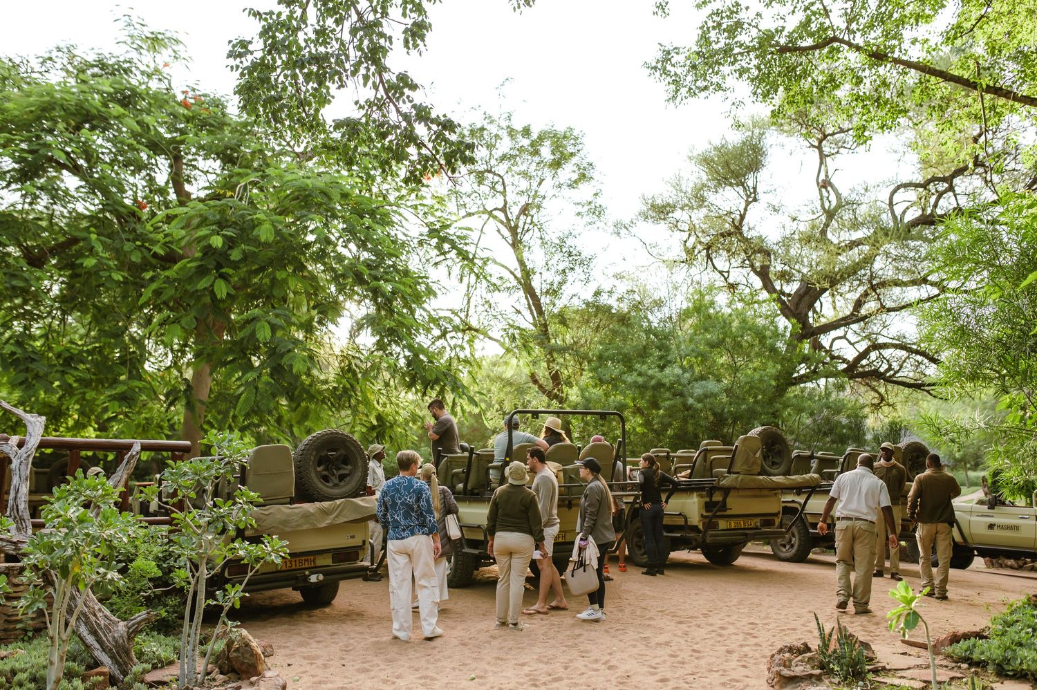 Mashatu game reserve, Tuli Safari Lodge, Botswana safari wedding by Safari wedding photographer wildflower photography
