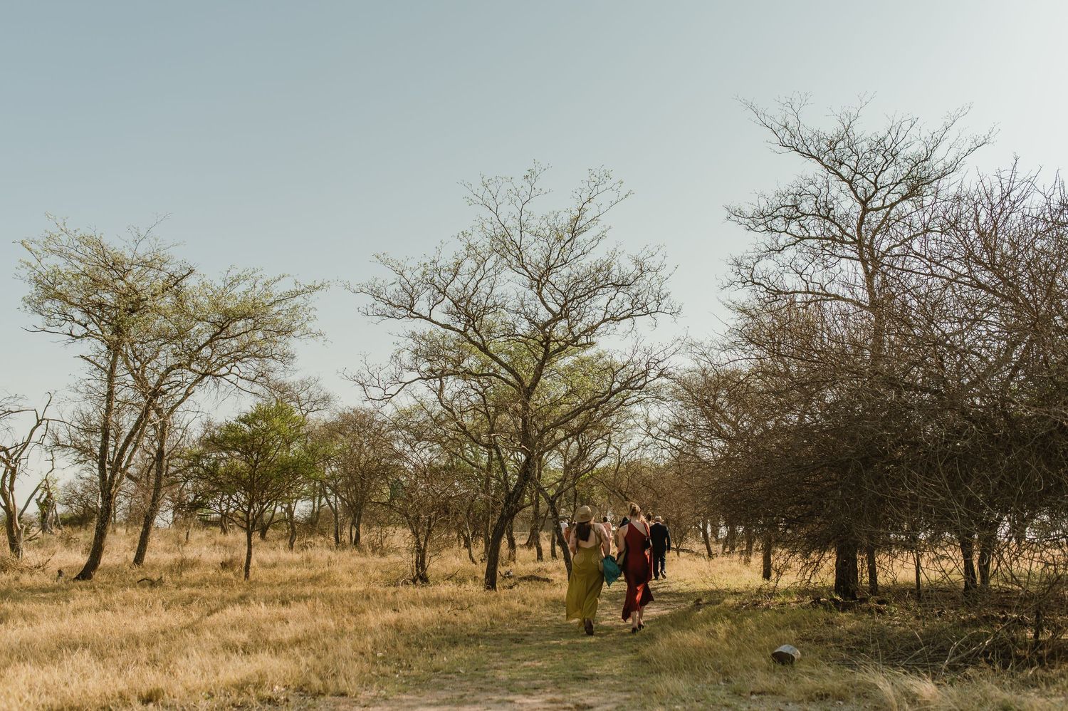 Wide panoramic view of a desert landscape with scattered trees.