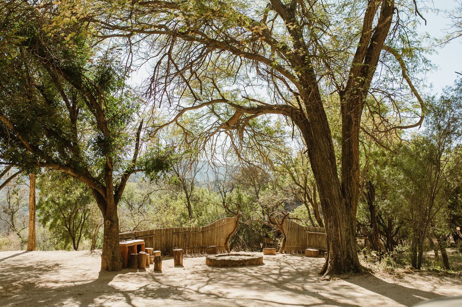 Natural desert landscape with large trees and wooden fencing creating a secluded outdoor space.