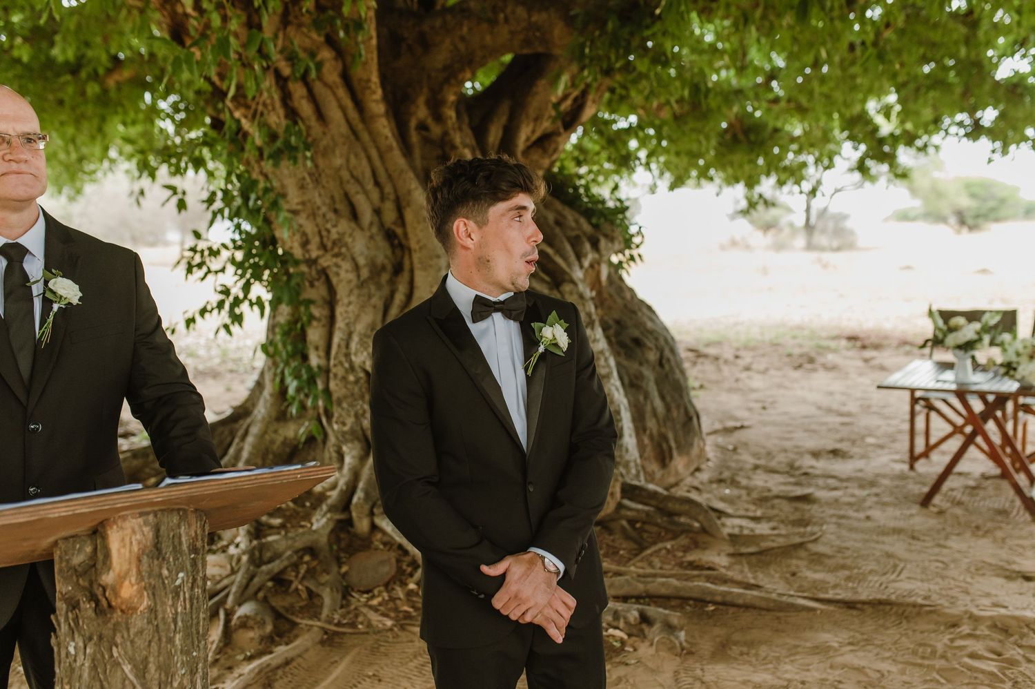Wedding attendees in formal wear stand beneath a majestic tree during outdoor celebration.
