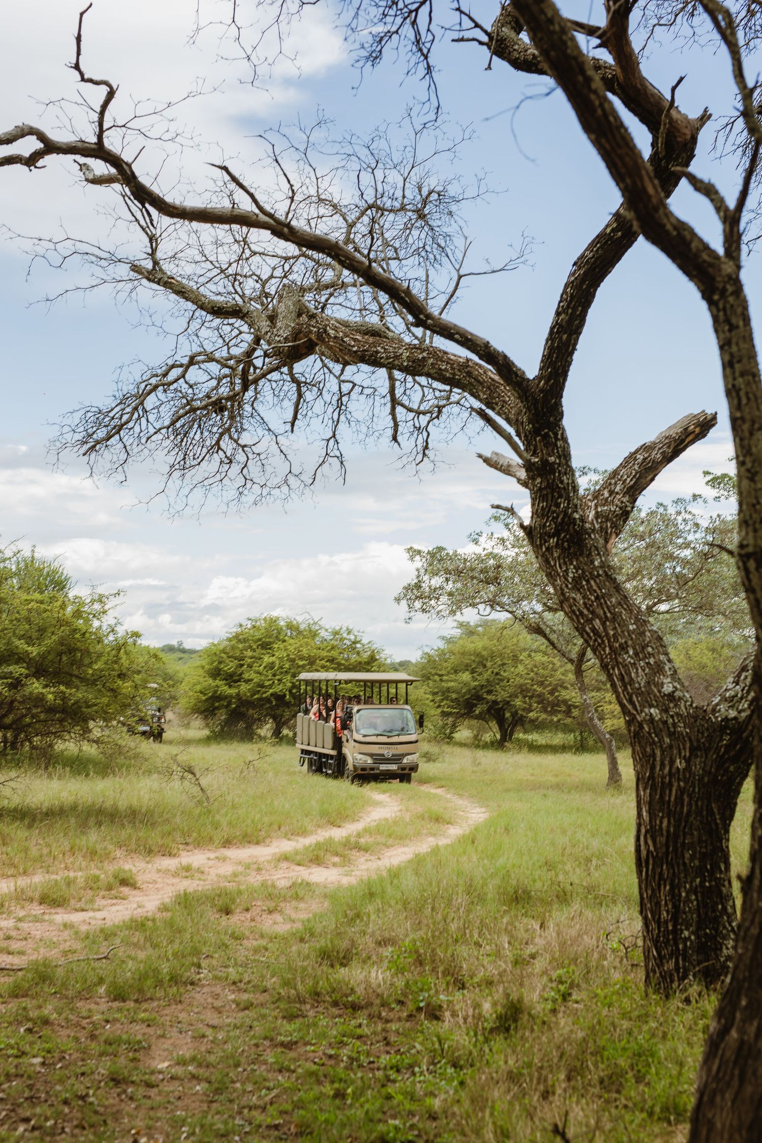 Safari game drive vehicle traveling along a dirt track through African bushveld under a blue sky.