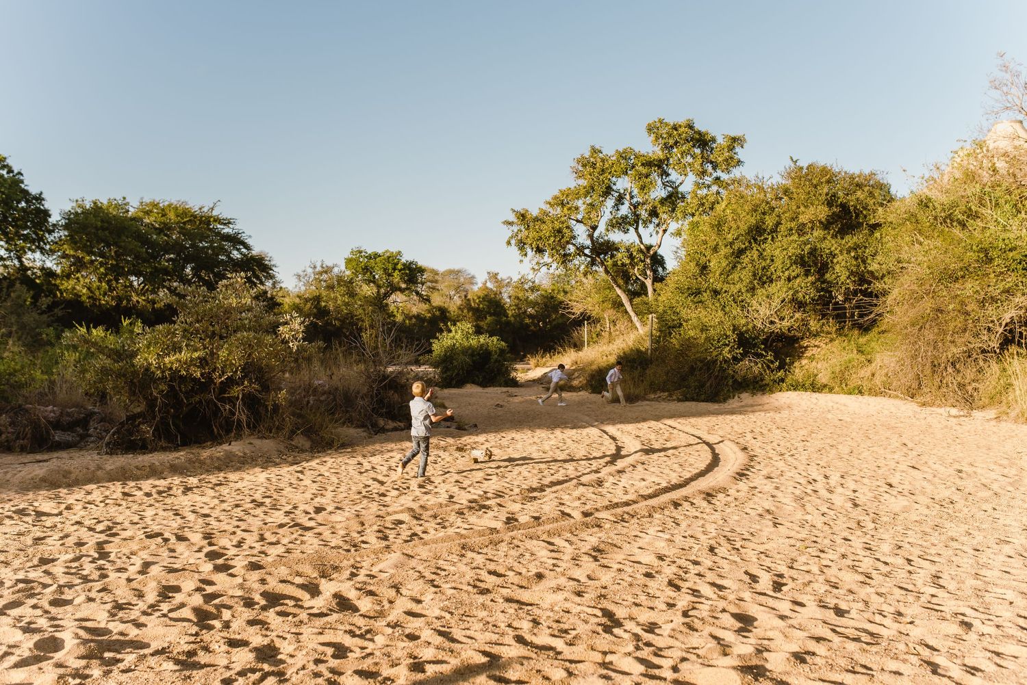 Sandy beach path winds through trees and dunes at golden hour.