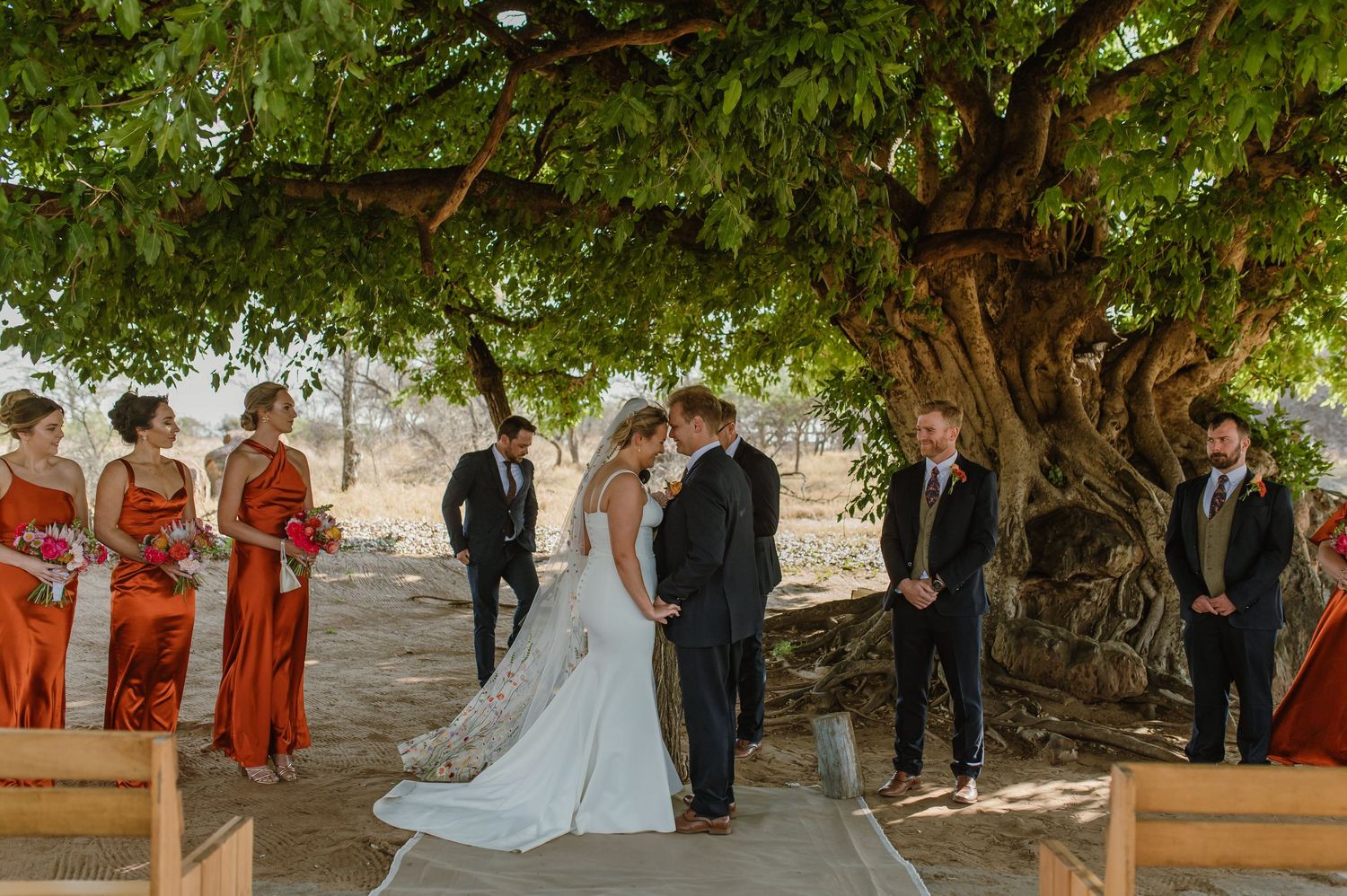 Wedding guests gather under a sprawling tree for an outdoor ceremony with wooden benches.