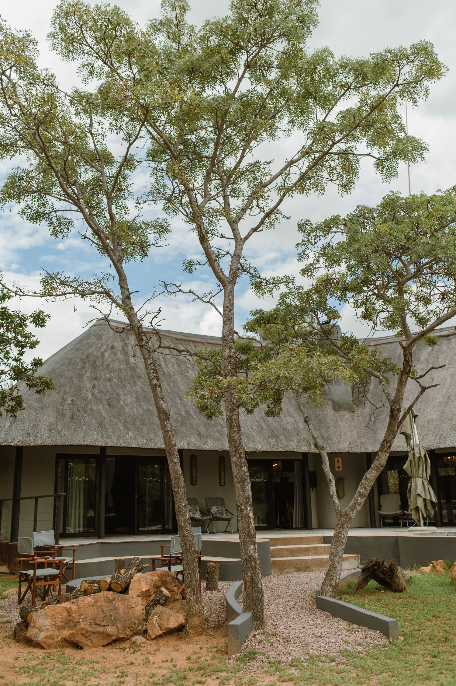 Thatched roof safari lodge with tall acacia trees and natural rock landscaping in an African bushveld setting.